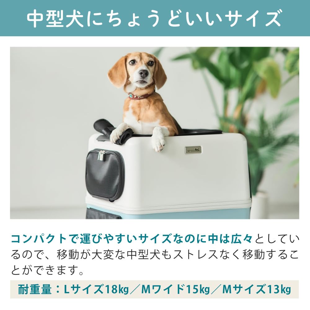 Amazon.co.jp: ペットキャリー ペチコ PETiCO iCO+ イコプラス Lサイズ